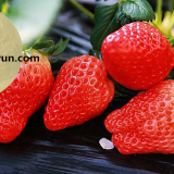 Enzymolysis Amino Acid Powder 80% High-Tech Agriculture Fertilizer thumbnail-5