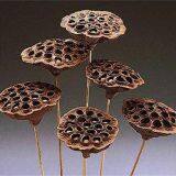 Dried Natural Arrangements Decoration Lotus Seedpod Head Shell Herbal Medicine Wholesaler Exporter Supplier thumbnail-5