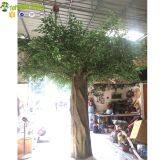 Column Covering Pillar Surrounding Artificial Banyan Tree