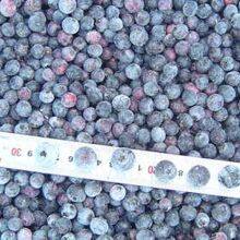 Frozen Blueberry thumbnail-1