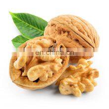Wholesale Low Moq Cheap Price Cream Milk Broken Processed Roasted Walnut for Sale thumbnail-2