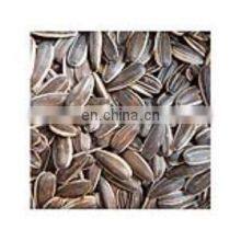 Wholesale Chinese Famous Brand Qiaqia Roasted Sunflower Seeds Sunflower Kernel Seeds Sunflower thumbnail-2