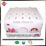 2014 Wholesale Vegetable Plastic Box