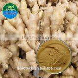 Manufacturer Pure Natural High Quality Ginger Extract, Ginger Root Extract, Ginger Extract Powder