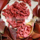 Goji for Dried Fruits Importers