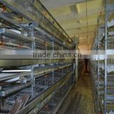 Poultry farming popular used automatic broiler cages