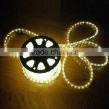 CE Rhos UL GS Quality IP65 Chasing Effect RGB Copper Wires Flat Round 2 Wires LED Rope Light thumbnail-1