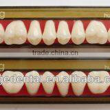 4 Layers Acrylic Teeth KAIJING T5 thumbnail-2