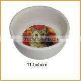 Cat Pattern Decal Ceramic Pet Bowl Feeders for Cat Bowls