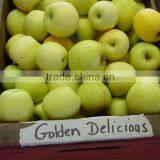 FRESH GOLDEN DELICIOUS APPLE