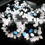 Factory Direct Sale Led Christmas Lights