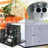 Walk in Koller Freezer Cold Room for Fishery thumbnail-1