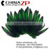 Wholesale Bulk dyed KELLY GREEN Laced guinea Hen Cape Feather