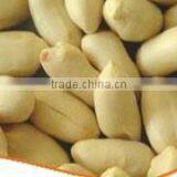 Blanched Fresh Bold Peanuts