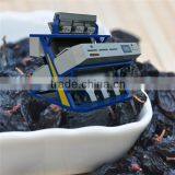 CE Certificated 192 Channels Dried Ribes Nigrum CCD Color Separating Machine