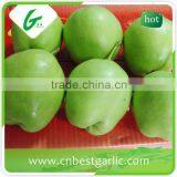 Chinese Fresh Bulk su Pear thumbnail-6