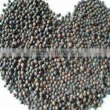 Well Dry New Crop Whole Sale Black Pepper thumbnail-1
