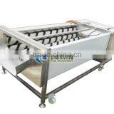 High Speed Stainless Steel GL-380 Vegetable Washer and Peeler Machine thumbnail-2