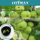 Ascophyllum Nodosum Extract Fertilizer With High Organic Matter Fertilizer for Melon thumbnail-1