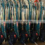 Rotary Tiller/Mini Cultivator/Mini Tractor thumbnail-1