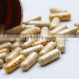 NJP-1200c High Performance GMP Standard Automatic Capsule Filler Machine thumbnail-2