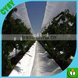 Greenhouse Film Factory Supply Agricultural Anti-uv Greenhouse Plastic Film Cover thumbnail-3