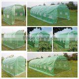 Popular Large Size Plastic Greenhouse/ Polytunnel Garden Greenhouse thumbnail-1
