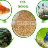 Freeze Dried Mealworms/Freeze Dried Tenebrio Molitors for Pets thumbnail-4