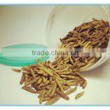 Dried Hermetia Larvae - Black Soldier Fly Larvae thumbnail-3