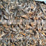 Wild Birds Food Freeze Dried Crickets;Dried Crickets for Wild Birds thumbnail-5
