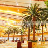 SJ12001117 Guangzhou Shengjie Artificial Date Palm Tree Sell to Dubai UAE thumbnail-2