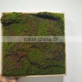 New Wall Frame With Artificial Plants thumbnail-4