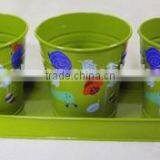 Metal Herb and Flower Planter in Garden thumbnail-2