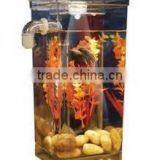 my Fun Fish Clean Tank With LED thumbnail-3