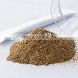 Chaga Mushroon Extract Powder thumbnail-1