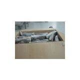 Chile Octopus From Chile (O. Vulgaris) thumbnail-1