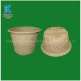 Biodegradable and Compostable Bagasse Flower Pots, Molded Fiber Nursery Pots