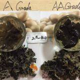 Factory Price Northeast Dried Black Fungus/Auricularia Auricula Grade AA & Grade A (Size:1.8-2.5cm,2.5cm Above) thumbnail-2