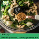 Reishi Mushroom Powder thumbnail-2
