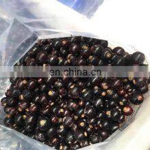 Sinocharm New Season BRC-A Approved Organic IQF Whole Black Currant thumbnail-4