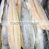 Scomberomorus Mackerel Fillets
