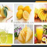Pineapplemake Pulp Plant thumbnail-4