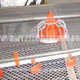 Feeders for Chickens