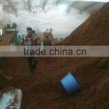 COCOPEAT/PITH COIR PRODUCTS thumbnail-3