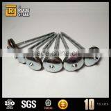 Bright Steel Nail ,umbrella Head Roofing Nails,large Head Iron Nails