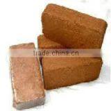 Suvimie Cocopeat Briquette 650 g thumbnail-1