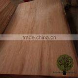 HOT SALES! GRADE C Wood Veneer Burckella Face Veneer Sheet for Marine Plywood Instead of Gurjan Face Veneer thumbnail-2