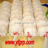 2011 Fresh Pure White Garlic for Sale Hot Offer thumbnail-1
