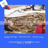 China Delicious Dried Squids