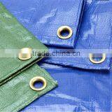 PE Tarpaulin With Eyelets Canvas Sheet